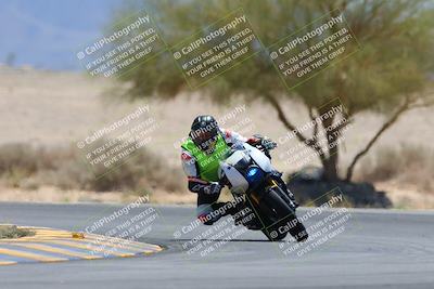 media/May-12-2024-SoCal Trackdays (Sun) [[ad755dc1f9]]/10-Turn 4 Tree of Life (1120am)/